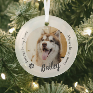 Adorno De Cristal Recuerdo personalizado de la foto del gato del per