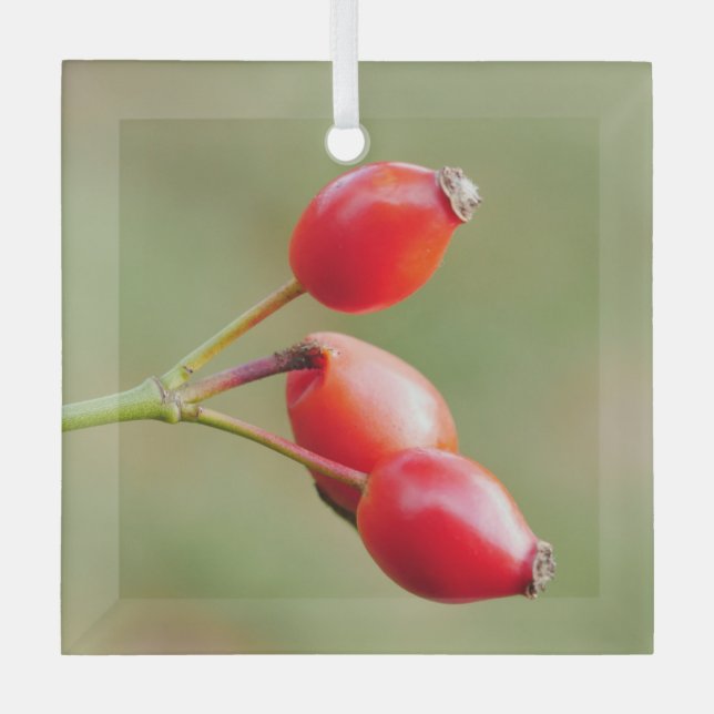 Adorno De Cristal Rosehips Ornament (Anverso)