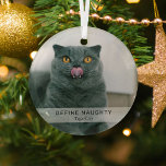 Adorno De Cristal Sencillo gracioso 'Define Naughty' Mascota foto Ke<br><div class="desc">Crea un divertido adorno de navidad de los mascotas con este sencillo y moderno patrón. El diseño incluye una foto de tu perro/gato,  un cartel de sobre blanco con el texto 'DEFINE NAUGHTY' y el nombre del mascota.</div>
