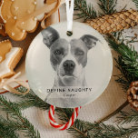 Adorno De Cristal Sencillo gracioso 'Define Naughty' Mascota foto Ke<br><div class="desc">Crea un divertido adorno de navidad de los mascotas con este sencillo y moderno patrón. El diseño incluye una foto de tu perro/gato,  un cartel de sobre blanco con el texto 'DEFINE NAUGHTY' y el nombre del mascota.</div>