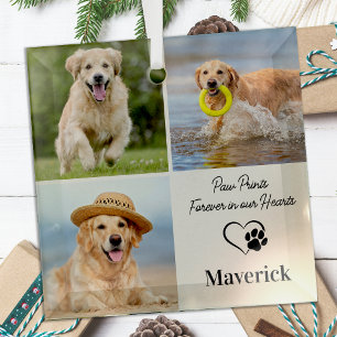 Adorno De Cristal Simpatía en memoria de mascota Personalizada 3 Col