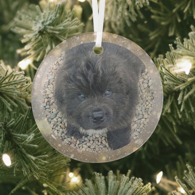 Adorno De Cristal Special Order Gray Puppy Glass Ornament (in situ)