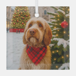 Adorno De Cristal Spinone Italiano