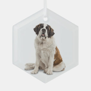 Adorno De Cristal St. Bernard Dog Mascota Animal