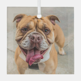 Adorno De Cristal Tan Happy Dog Photo