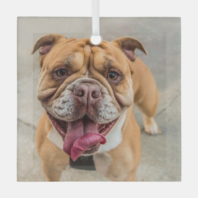 Adorno De Cristal Tan Happy Dog Photo (Anverso)