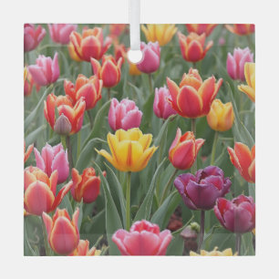 Adorno De Cristal Tulipanes holandeses