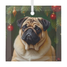 Vacaciones de Pug