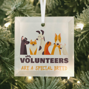Adorno De Cristal Voluntarios son un refugio especial para perros de