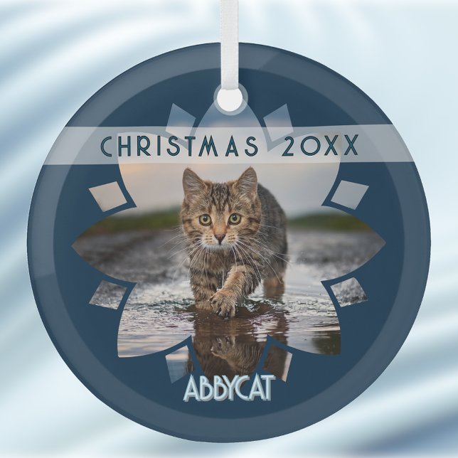 Adorno De Cristal Wet Cat Photo Framed in Flower on Blue (Subido por el creador)