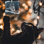 Adorno De Cristal Winter Lynx Mountain<br><div class="desc">Un lince en la nieve en una montaña</div>