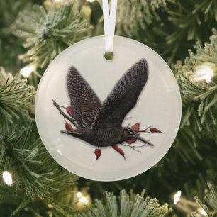 Adorno De Cristal Woodcock