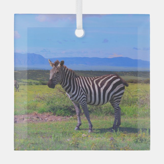 ADORNO DE CRISTAL ZEBRA STRIPES (Anverso)