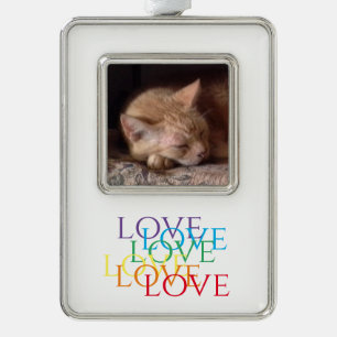 ADORNO DE FOTO CON MARCO VERTICAL PET LOVE