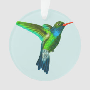 Adorno de foto de colibrí lindo personalizado