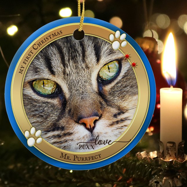 Adorno de foto de gato lindo Blue Gold (Subido por el creador)