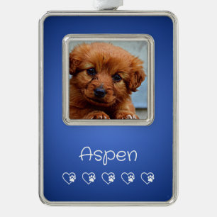 Adorno de Foto de Mascota Azure - Regalo de Navida