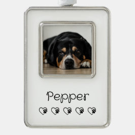 Adorno de foto de mascota blanca - Marco de vacaci