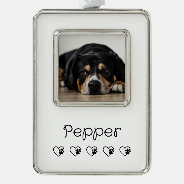 Adorno de foto de mascota blanca - Marco de vacaci (Anverso)