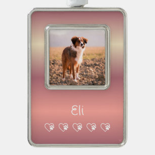 Adorno de foto de mascota melocotón - Enmarcado, f