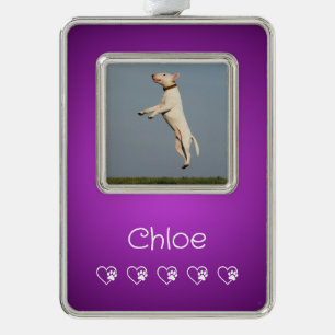 Adorno de Foto de Mascota Morado - Regalo de Cacho