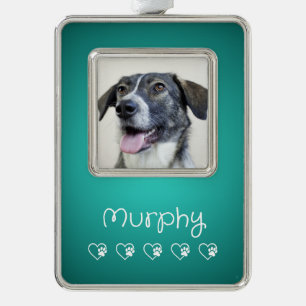 Adorno de foto de mascota verde azulado - Marco, r