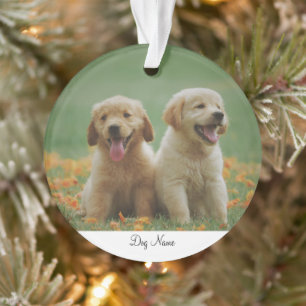 Adorno de Foto de Perro con Nombre Personalizado
