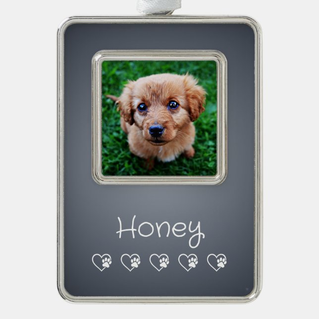 Adorno de foto gris de mascota - Marco, Retrato de (Anverso)