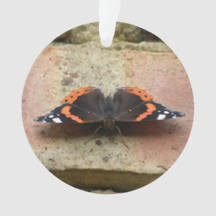Adorno de Mariposa Almirante Rojo