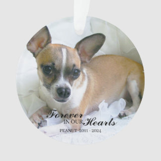 Adorno de Navidad personalizado para mascotas