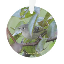 Adorno de pájaro Rey con corona de Rubí con lugar