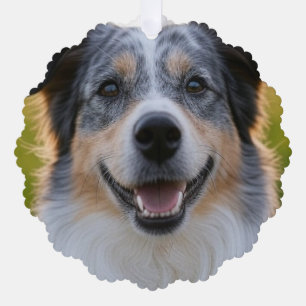 Adorno De Papel Añadir Personalizar de fotografía Mascota