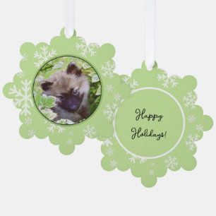 Adorno De Papel Cachorro Keeshond en el Jardín Pintura Arte Origin
