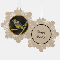 Cedar Waxwing Songbird Foto original de ave silves