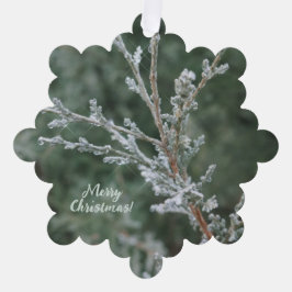 Adorno De Papel Evergreen Sparkling Frost Merry Christmas