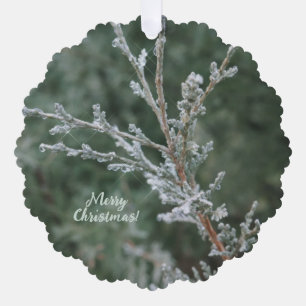 Adorno De Papel Evergreen Sparkling Frost Merry Christmas