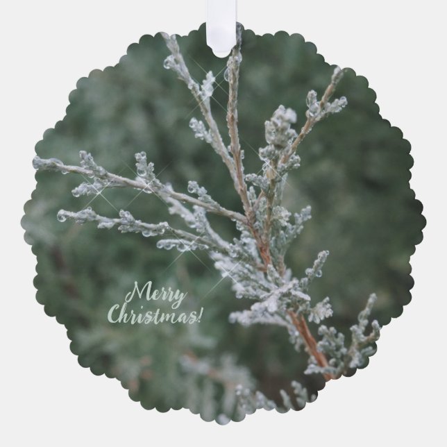 Adorno De Papel Evergreen Sparkling Frost Merry Christmas (Anverso)
