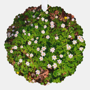 Adorno De Papel Flores de primavera de anémona de madera blanca