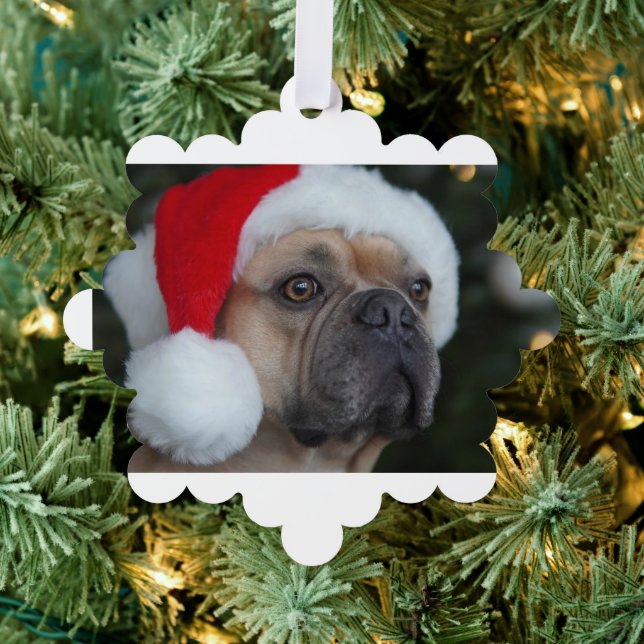 Adorno De Papel Foto personalizada de Navidades súper baratos (Insitu (árbol))