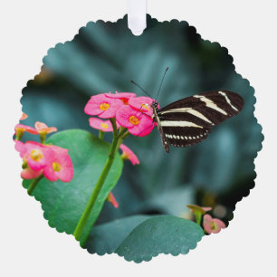 Adorno De Papel Fotografía de Mariposa en Flor Rosa