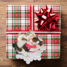 Adorno De Papel Kitten Photo Text , GiftTag, Snowflake, Customize,