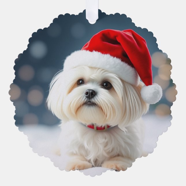 Adorno De Papel Maltese Christmas Ornament (Anverso)