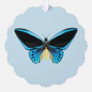 Adorno De Papel Mariposa Ala de Pájaro