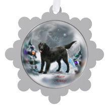 Navidades recuperadores planos