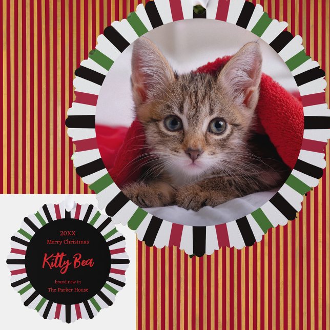 Adorno De Papel New Kitty in the House Christmas (Subido por el creador)