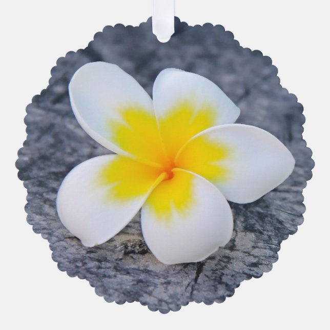Adorno De Papel plumeria (Anverso)
