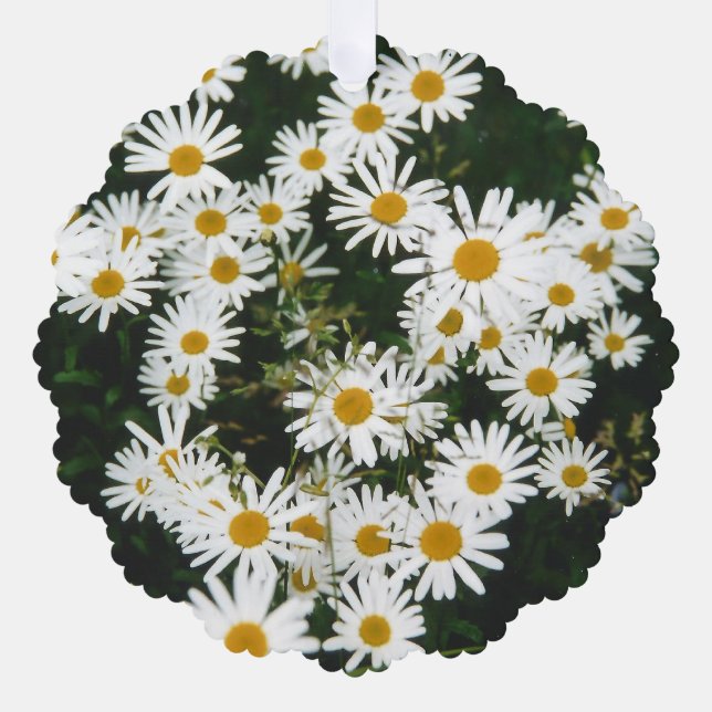 Adorno De Papel White Oxeye Daisy, Moon Daisy Meadow (Anverso)
