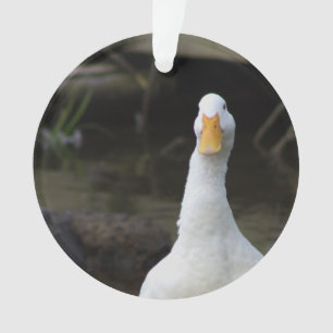 Adorno de pato blanco