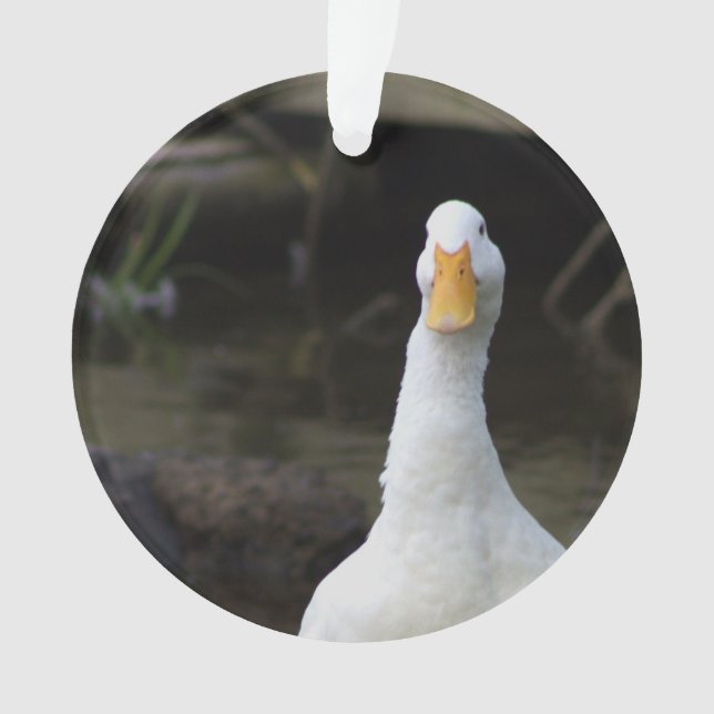 Adorno de pato blanco (Anverso)