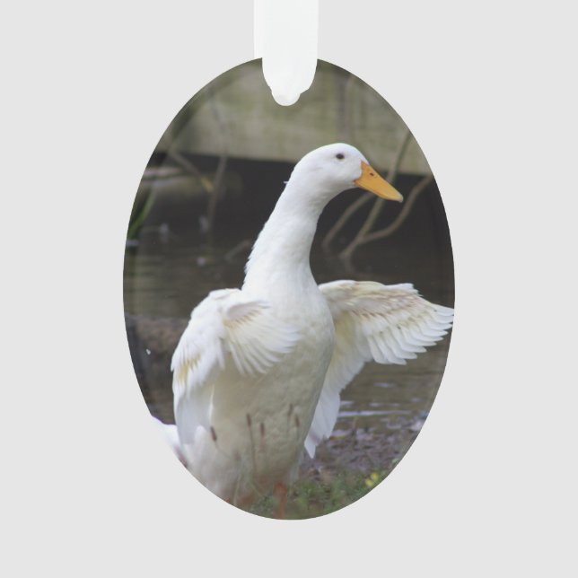 Adorno de pato blanco (Anverso)